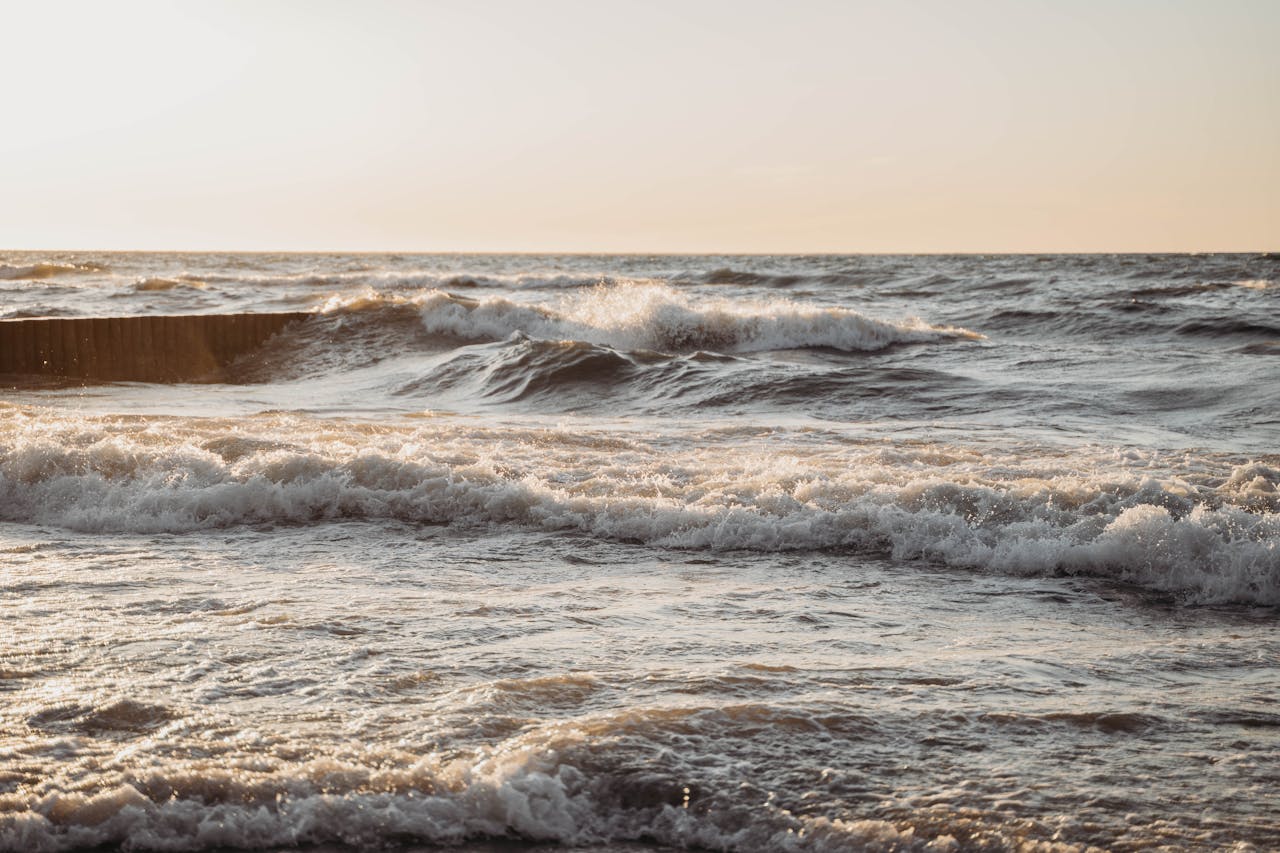 Gráficos de carta natal sobre escritorio